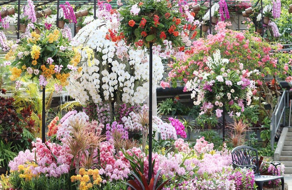 【岡山・倉敷発】 年度末決算市!とっとり花回廊らんウィークと足立美術館・日本庭園 由志園 日帰り2